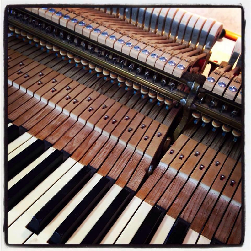 Close view of an exposed piano action and keys