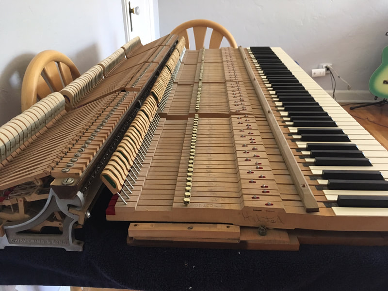 A full piano action removed and laid out for technical work